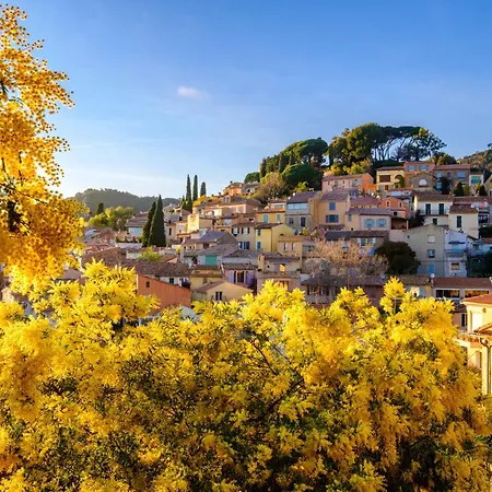 Semesterbostad Les Mimosanes-4 By Interhome Bormes-les-Mimosas